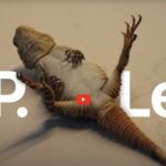 Zdjęcie okładkowe wpisu: Dwie nowe reklamy Apple