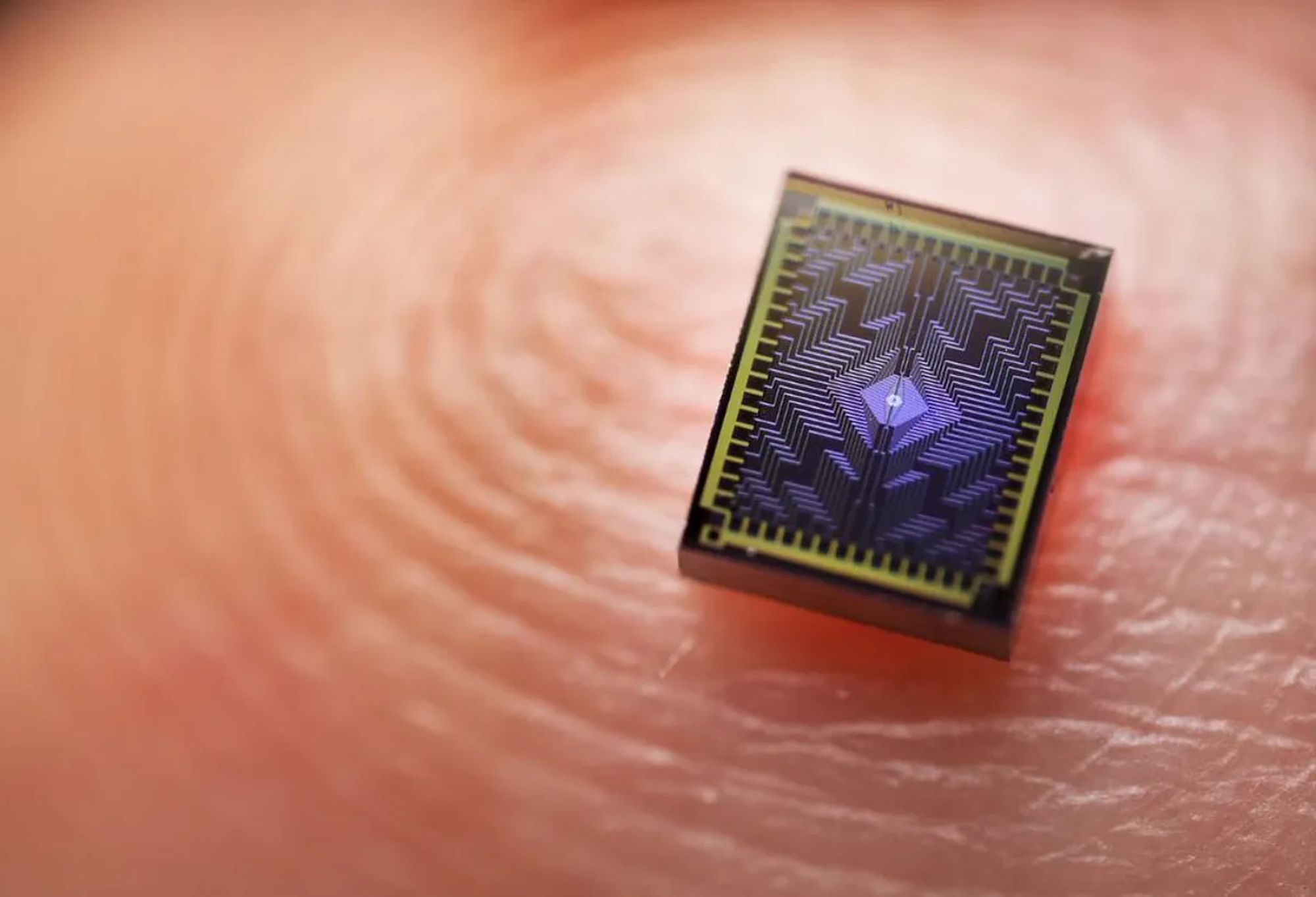 Zdjęcie okładkowe wpisu Intel zbudował 12-qubitowy chip kwantowy