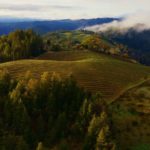 Zdjęcie okładkowe wpisu: Ponad 100 nowych tapet w macOS Sonoma