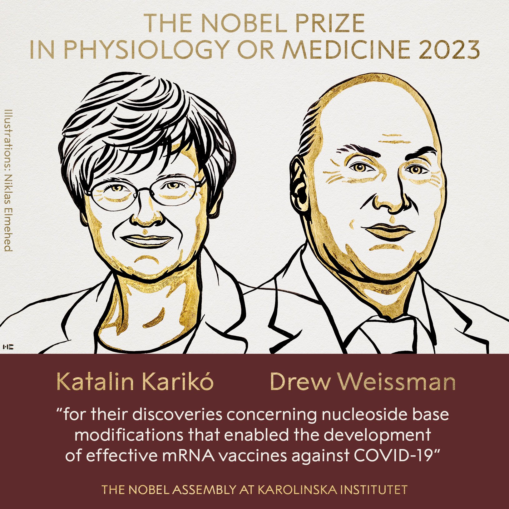 Zdjęcie okładkowe wpisu Nobel z medycyny przyznany dla Katalin Karikó i Drew Weissmana