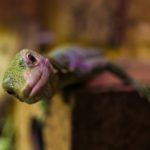 Zdjęcie okładkowe wpisu: Jak rozmawiać w ramach naszych baniek