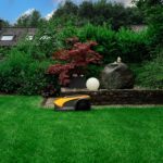 Zdjęcie okładkowe wpisu: Ogrodnictwo to nuda tylko dla boomerów? Niekoniecznie