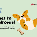 Zdjęcie okładkowe wpisu: Dziś Międzynarodowy Dzień Psa – pies to zdrowie i są na to badania