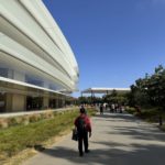 Zdjęcie okładkowe wpisu: Tim Cook sprzedaje akcje Apple za 24 miliony USD