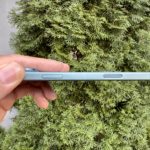 Zdjęcie okładkowe wpisu: Bezramkowy iPhone już w 2027 roku?