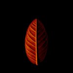 Zdjęcie okładkowe wpisu: Jak mądrze przygotować się na technologiczną jesień?