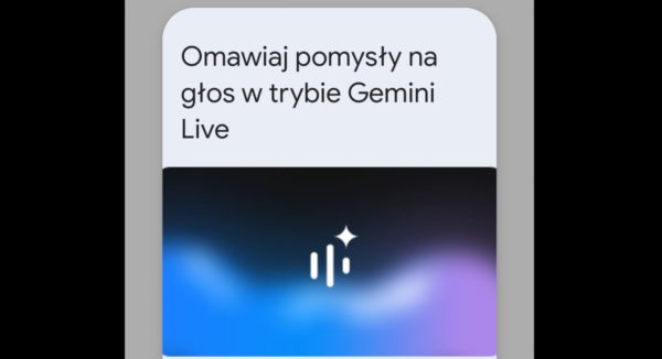 Gemini Live PL