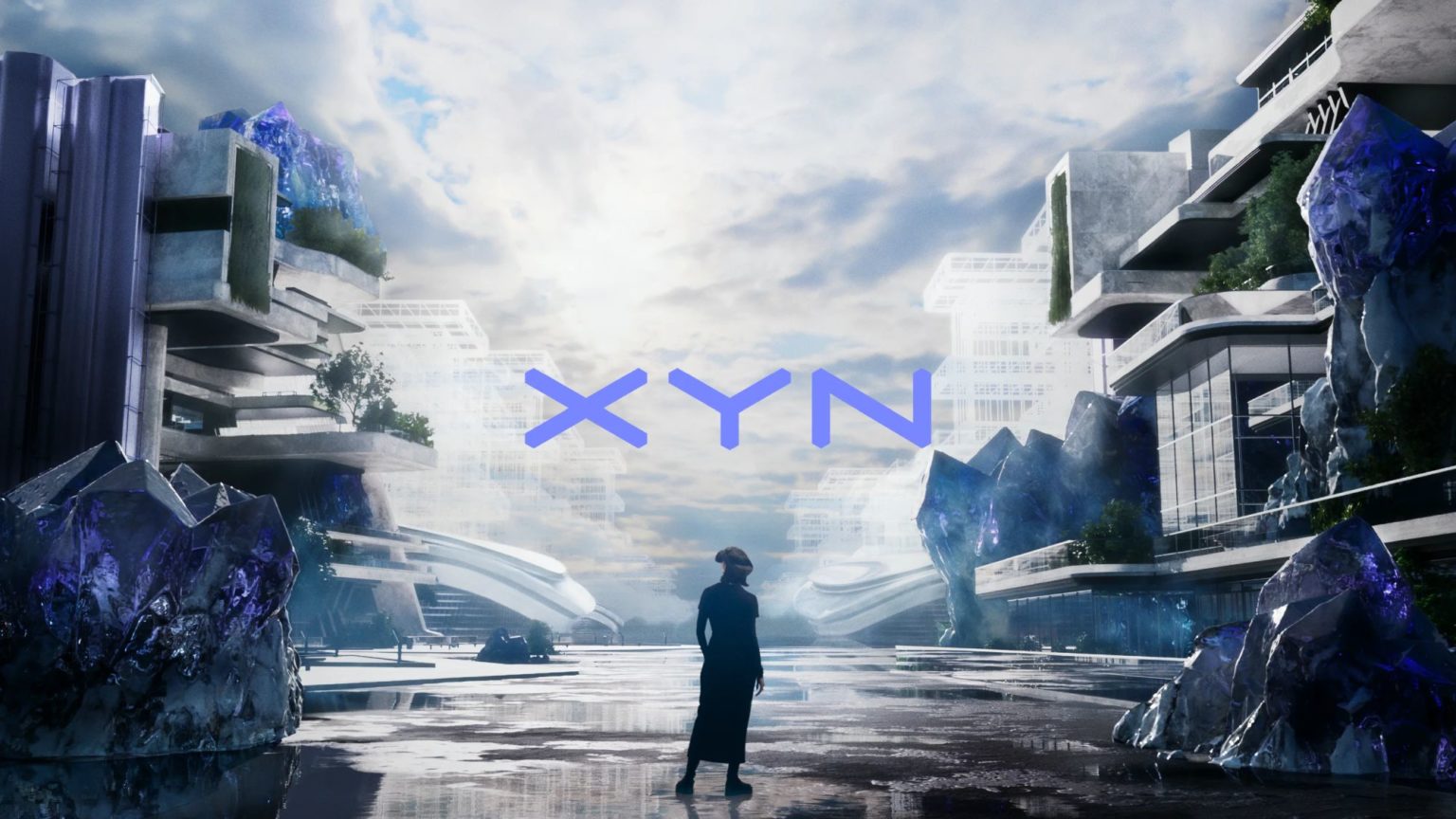 Sony XYN