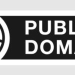 Zdjęcie okładkowe wpisu: Popeye, TinTin, Frida Kahlo i Zofia Nałkowka są teraz w domenie publicznej