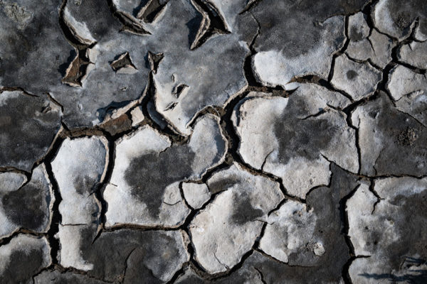 © Alessandro Gandolfi, Italy, Finalist, Professional competition, Still Life, Sony World Photography Awards 2025