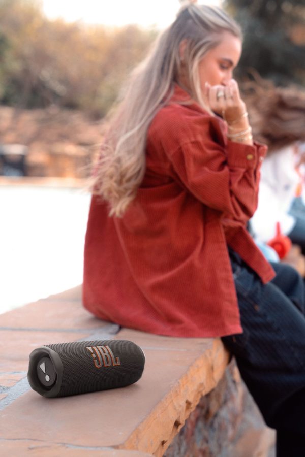 JBL Flip 7