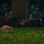 Zdjęcie okładkowe wpisu: Nowe aktualizacje autonomicznych robotów koszących STIGA