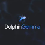 Zdjęcie okładkowe wpisu: DolphinGemma – Gemini AI dla delfinów