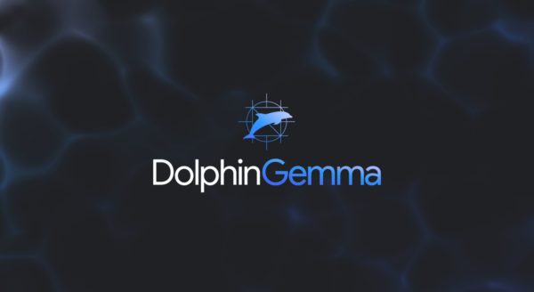 Google DolphinGemma