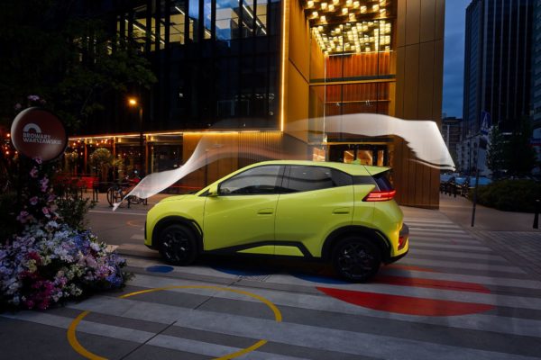 BYD Dolphin Surf