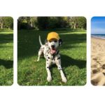 Zdjęcie okładkowe wpisu: Google Photos z nowymi funkcjami edycji zdjęć dzięki Gemini