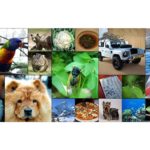 Zdjęcie okładkowe wpisu: Apple odkrywa na nowo zapomnianą technikę AI do generowania obrazów – Normalizing Flows