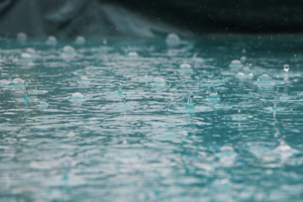 kwaśne deszcze, TFA, fot. Inge Maria / Unsplash