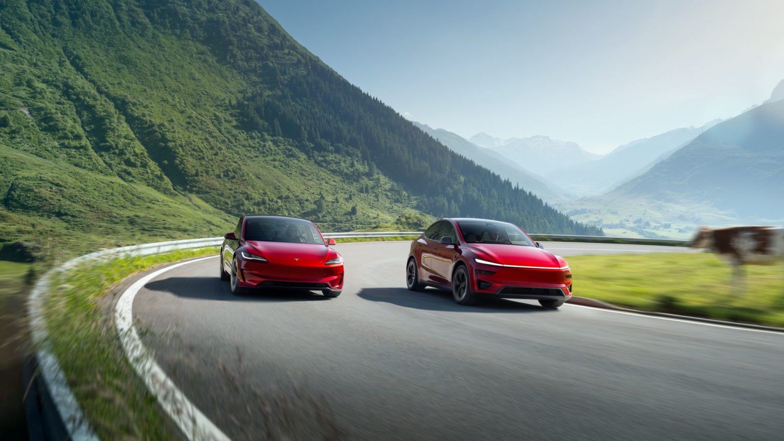 Tesla Model Y Performance