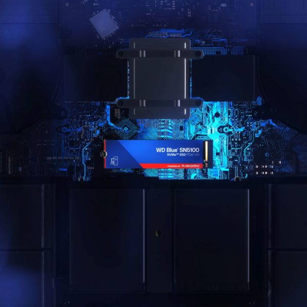 Sandisk WD Blue NVMe SSD