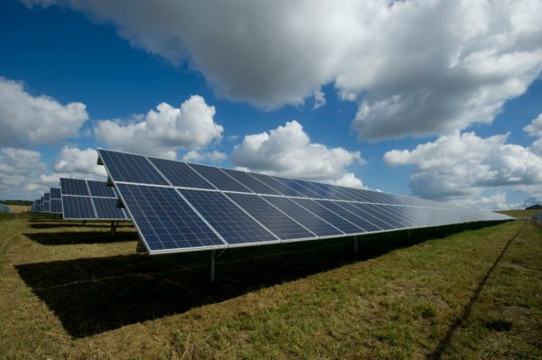fotowoltaika, panele solarne, fot. American Public Power Association / Unsplash