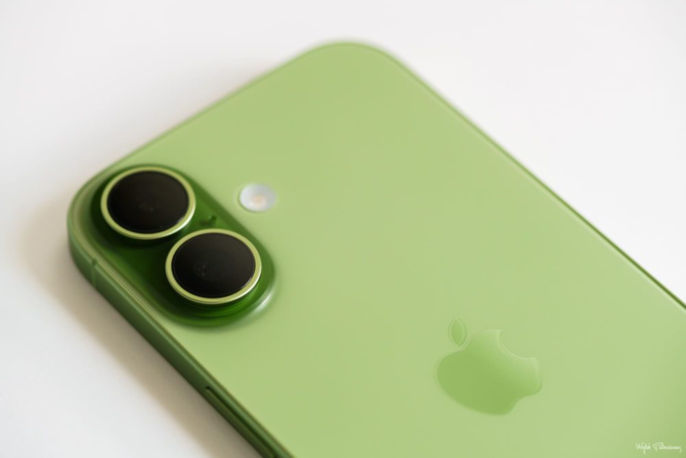 Sorry, no caption provided by author