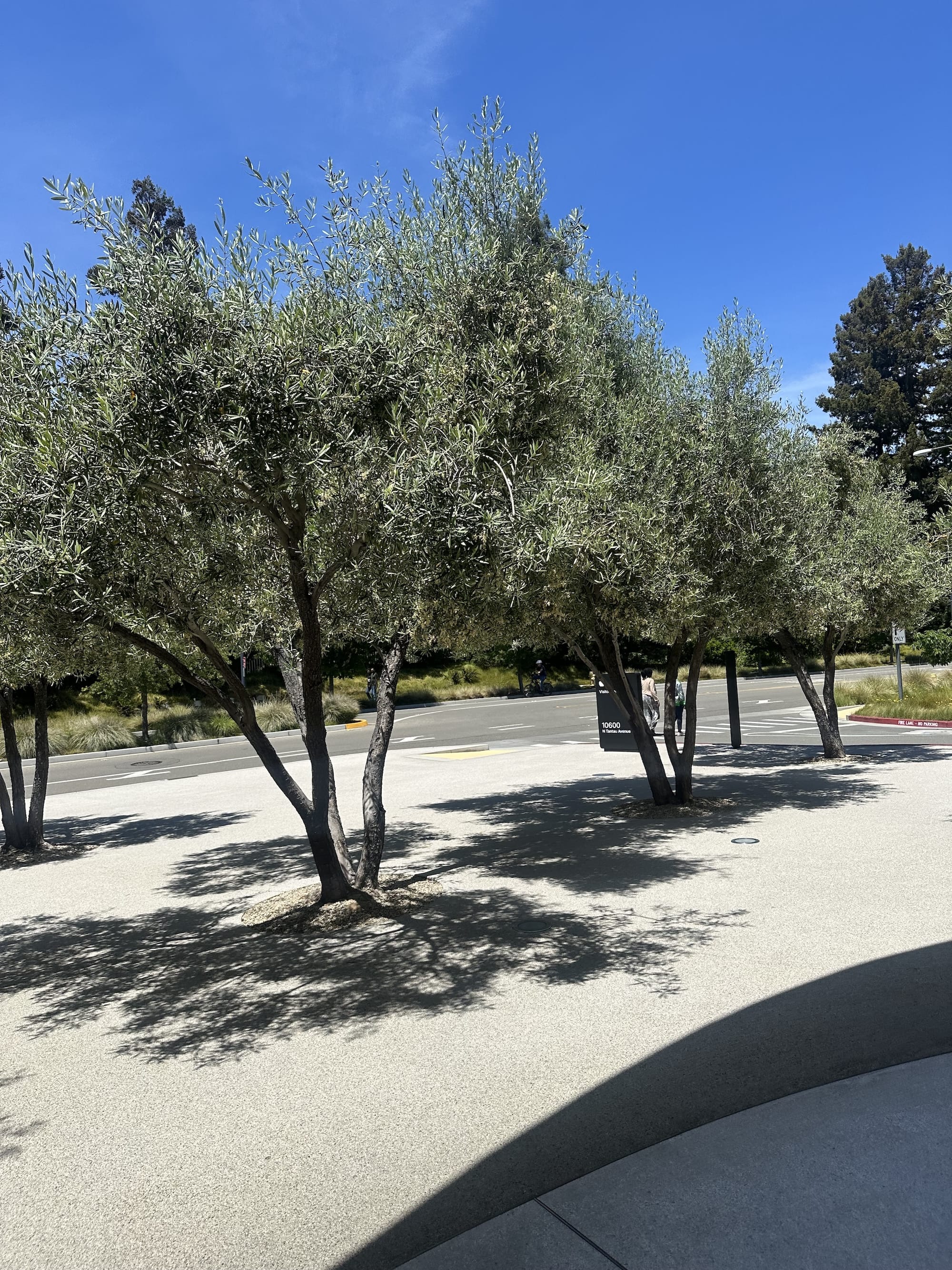 Zdjęcie okładkowe wpisu IMG_0292