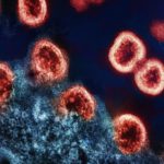 Zdjęcie okładkowe wpisu: Koniec ery codziennych tabletek? Bioinżynieria przeciwciał otwiera drogę do „funkcjonalnego wyleczenia” HIV