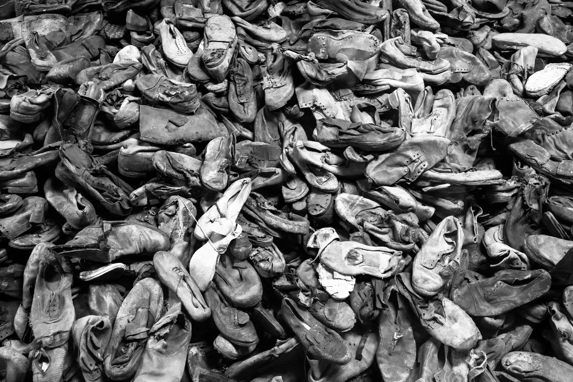 Rabbi Shmuley Boteach: „Polska była pierwszą ofiarą Hitlera, nie jego wspólnikiem”. Mocny głos z USA w obronie prawdy historycznej