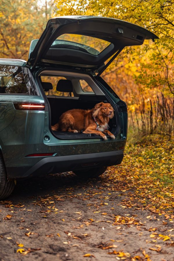 OMODA i JAECOO nowe ceny