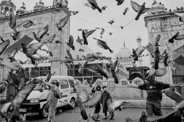 Finaliści Sony World Photography Awards 2026