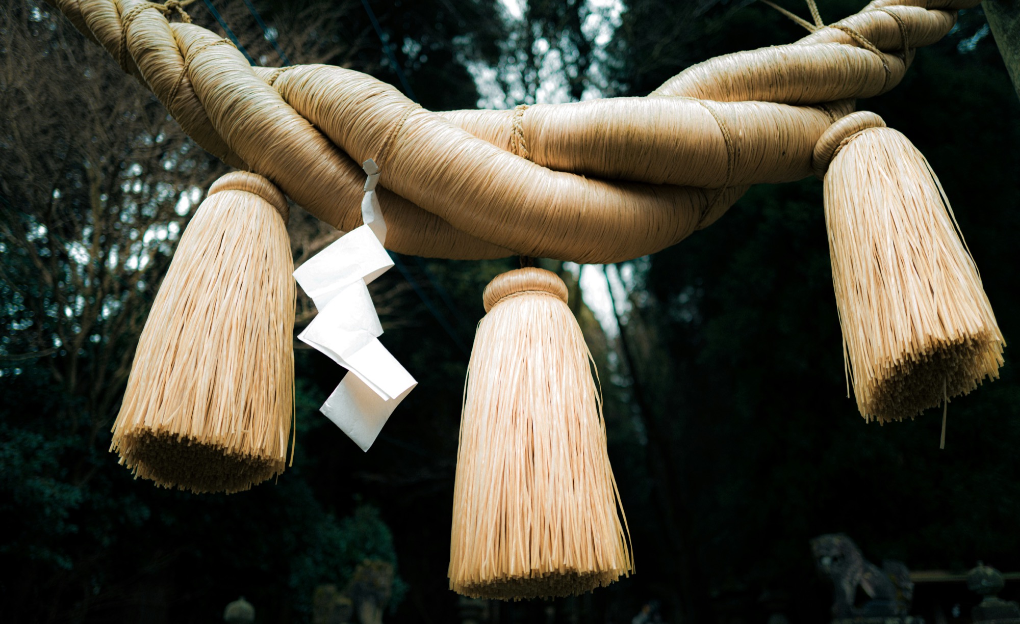 Japońskie firmy technologiczne krytykują nowe zasady płatności Apple