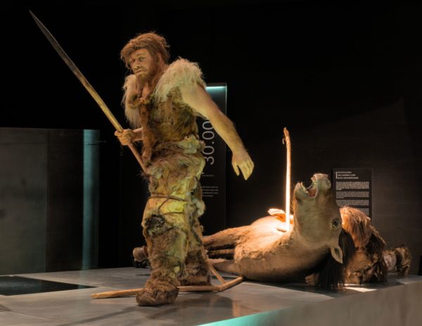 Neandertalski myśliwy, rekonstrukcja muzealna. Fot. Benoit Brummer / Wikimedia Commons