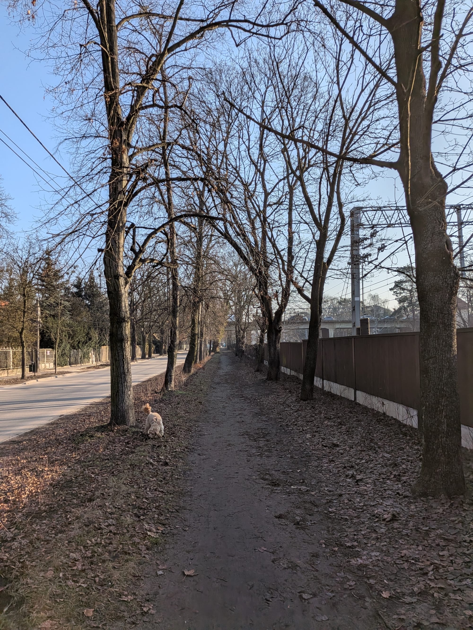 Zdjęcie okładkowe wpisu Pixel10a_20260304_071356020.MP