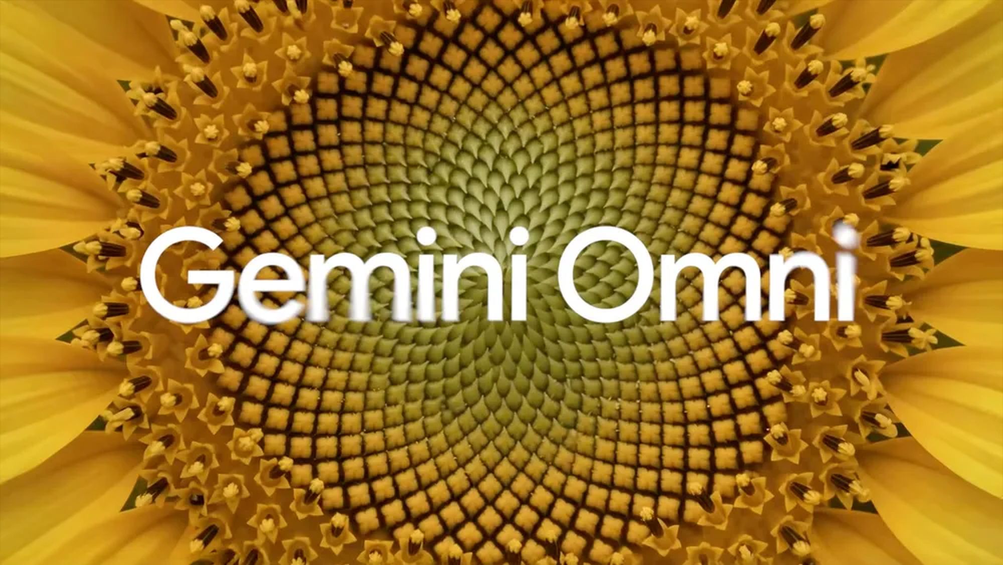 Zdjęcie okładkowe wpisu GeminiOmni_social.width-1000.format-webp