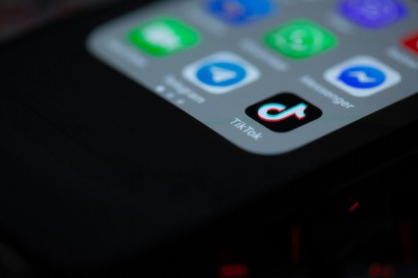 Digital Services Act dane badacze