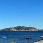 Zdjęcie okładkowe wpisu: Ceuta, Lampedusa… gasimy pożary, zamiast ubić podpalacza