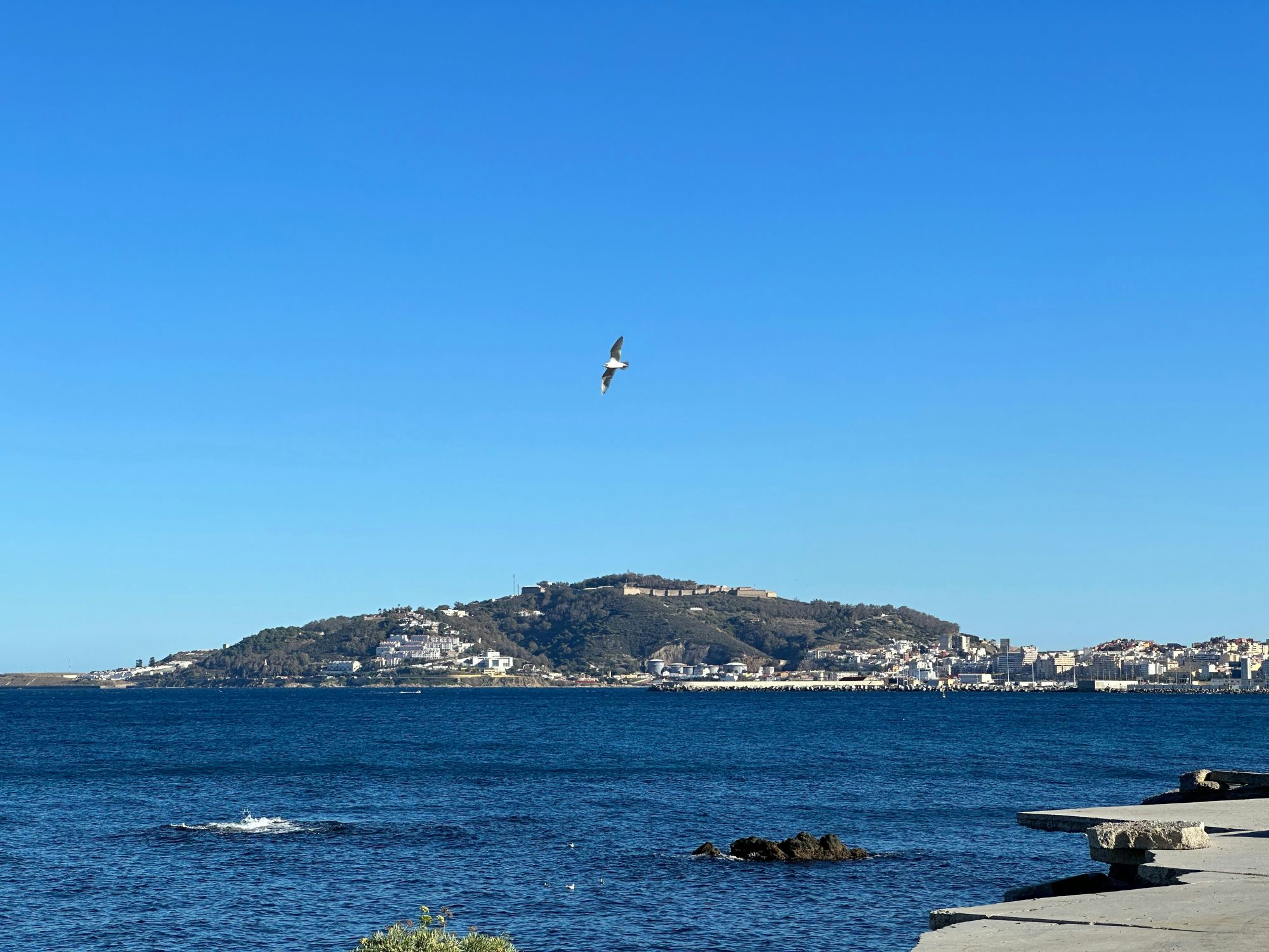 Ceuta, Lampedusa… gasimy pożary, zamiast ubić podpalacza