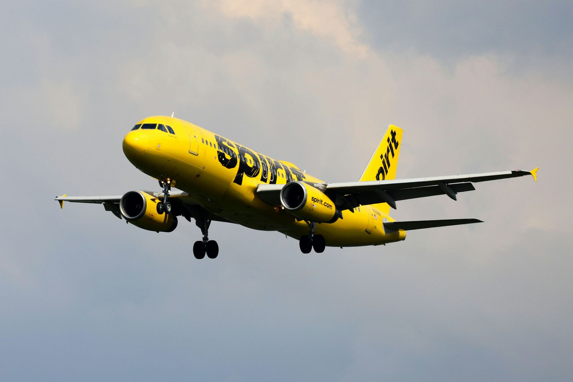 Google kupuje dane upadłych linii Spirit Airlines za 10 milionów dolarów. Nowe paliwo dla modeli AI