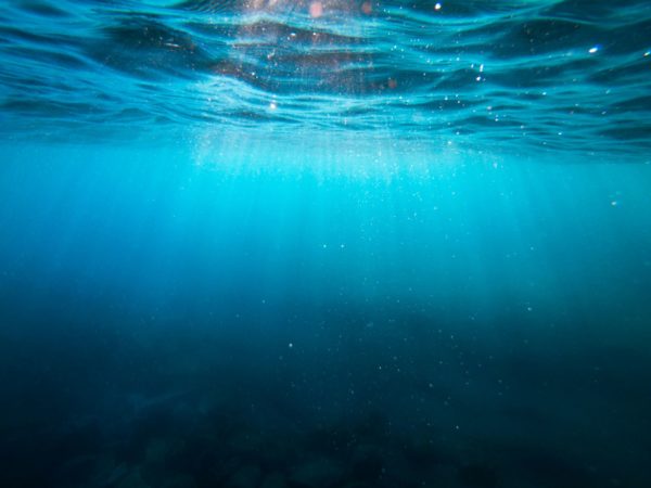 bio-metal kryje się w oceanach (zdjęcie ilustracyjne, fot. Cristian Palmer / Unsplash)